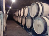 Florent Garaudet's cellar, with french oak barrels