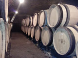 Parcelle de vigne du domaine Florent Garaudet, située sur la commune de Puligny-Montrachet