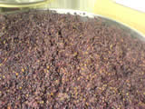 Monthelie must vat, destemmed from domaine Florent Garaudet